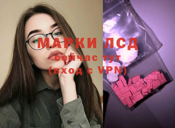 эйфоретик Магас