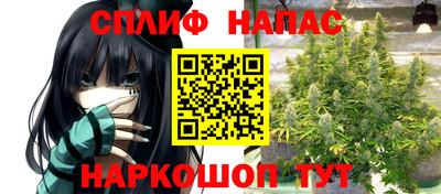 гидра Волгодонск