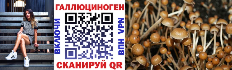 Галлюциногенные грибы мицелий  hydra онион  Мурманск  закладка 