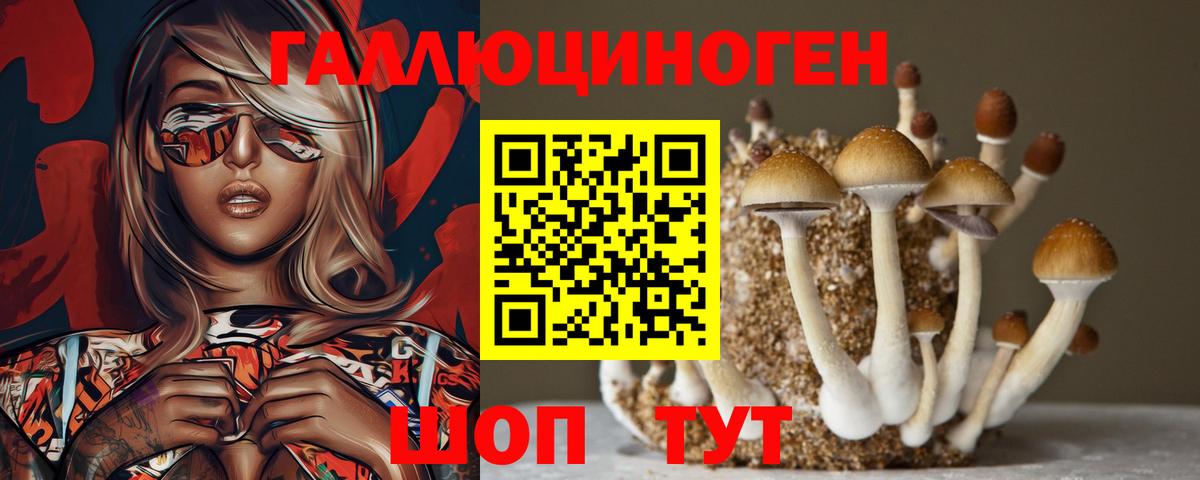 Псилоцибиновые грибы GOLDEN TEACHER  Галлюциногенные грибы ЛСД  где купить наркотик  Мурманск  Вход с VPN 