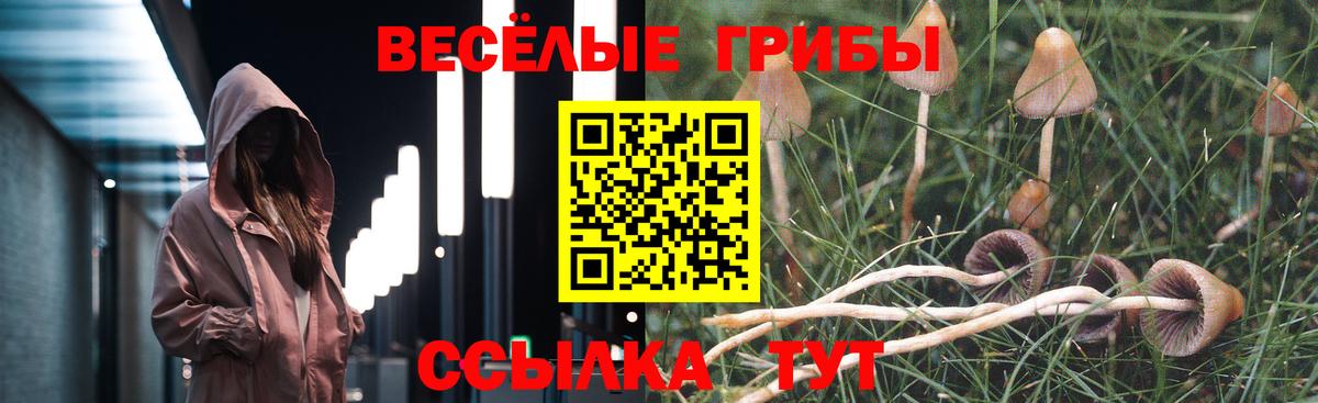 Галлюциногенные грибы Cubensis Мурманск